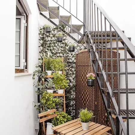 Deck Peniche